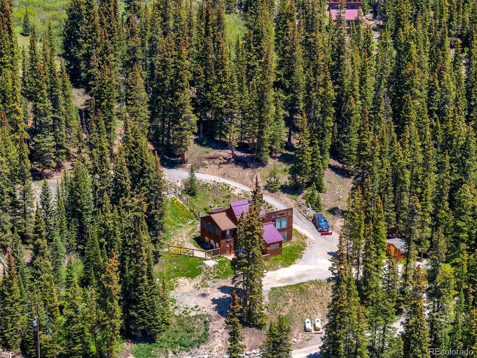 60 Jackson Alma, CO 80420 - Photo 20 of 49