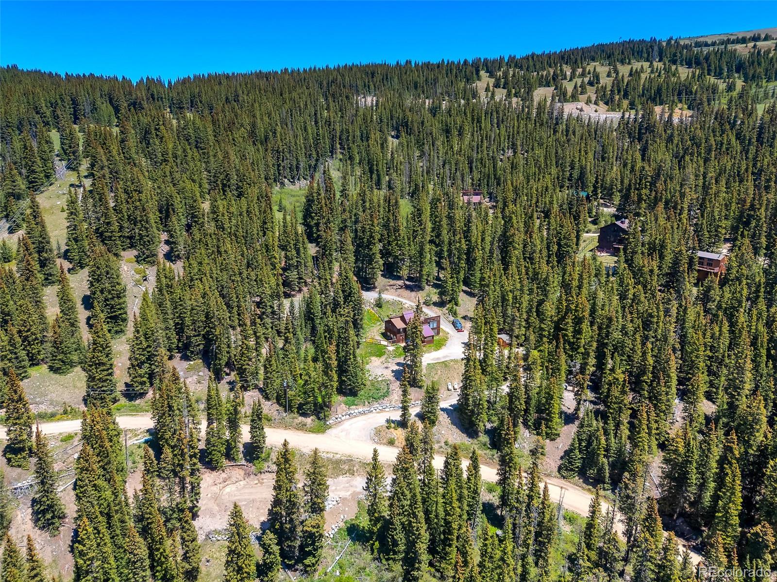 60 Jackson Alma, CO 80420 - Photo 44 of 49 a view of a yard with plants and large trees