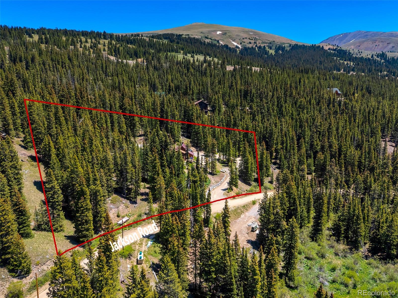 60 Jackson Alma, CO 80420 - Photo 49 of 49 a view of a yard with plants and large trees