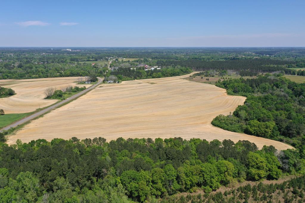 5.3-ac Memphis Church Road Dothan, AL 36301 - Photo 1 of 29