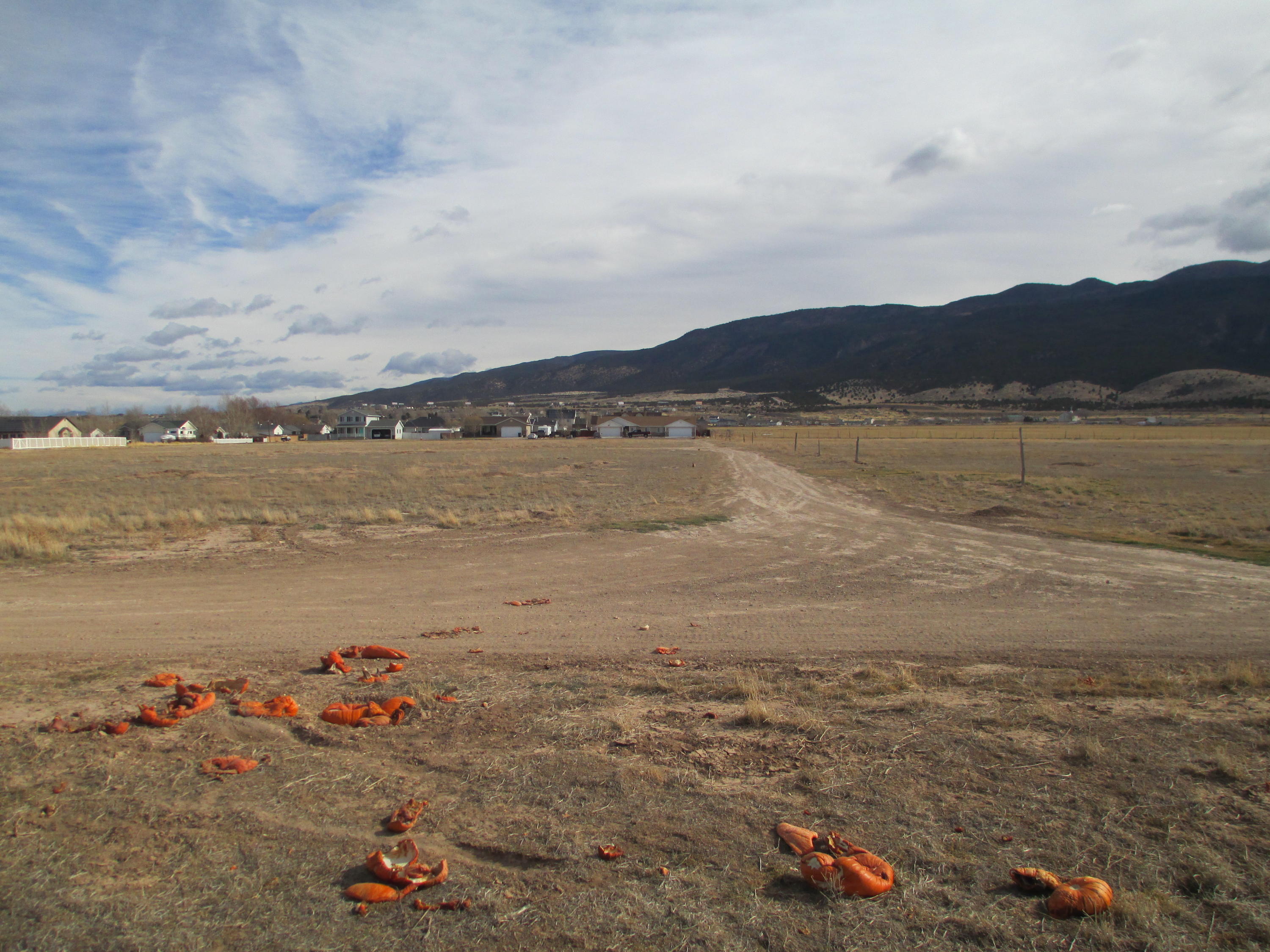 4357 Prospector Lane, Unit LOT #34 Enoch, UT 84721 - Photo 1 of 1 of Similar Lot
