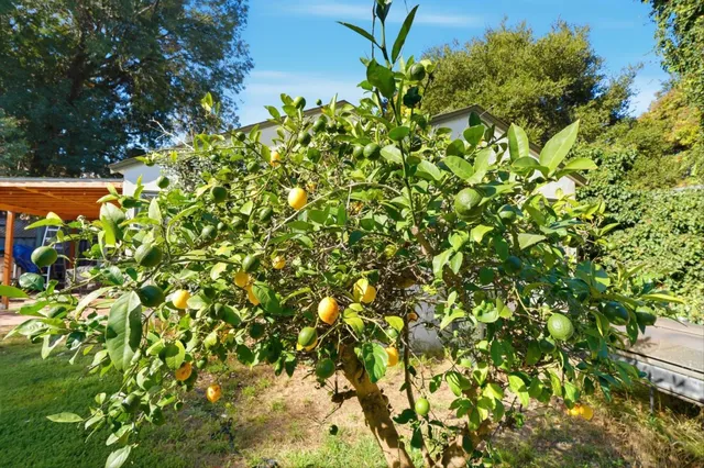 $1,095,000 | 1908 Cooley Avenue, East Palo Alto, CA 94303