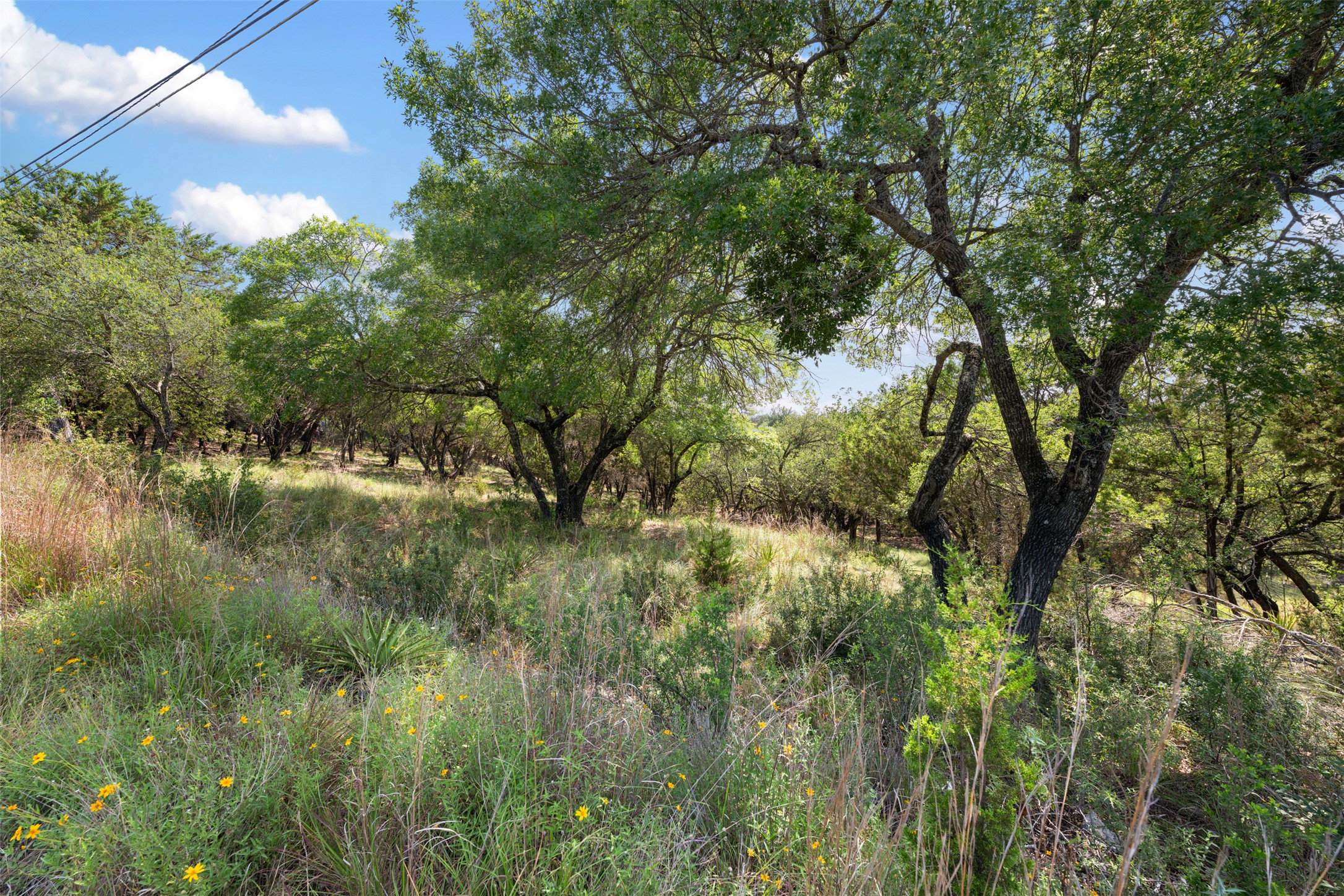 21105 Ridgeview Road Lago Vista, TX 78645 - Photo 32 of 34 Mature trees and abundant natural greenery define this spacious, secluded land plot.