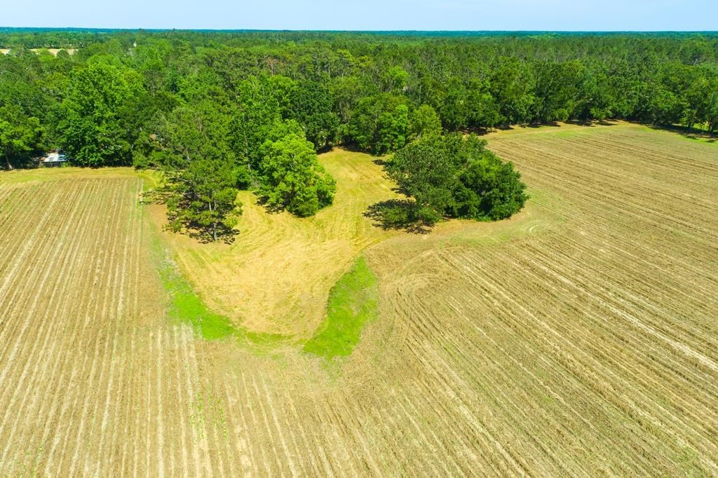 20000 Lawrence Road Fairhope, AL 36532 - Photo 7 of 10