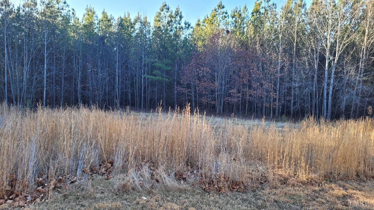 600 Pilot View Road Concord, VA 24538 - Photo 26 of 27
