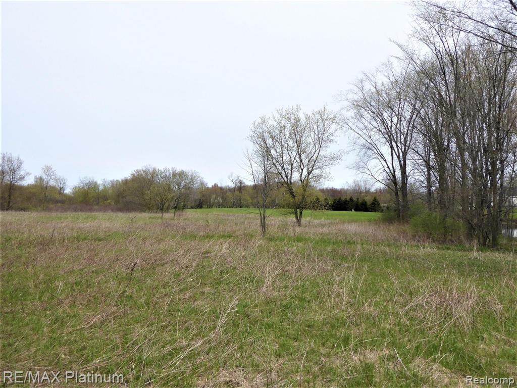 6 Mason Road Howell, MI 48843 - Photo 6 of 6