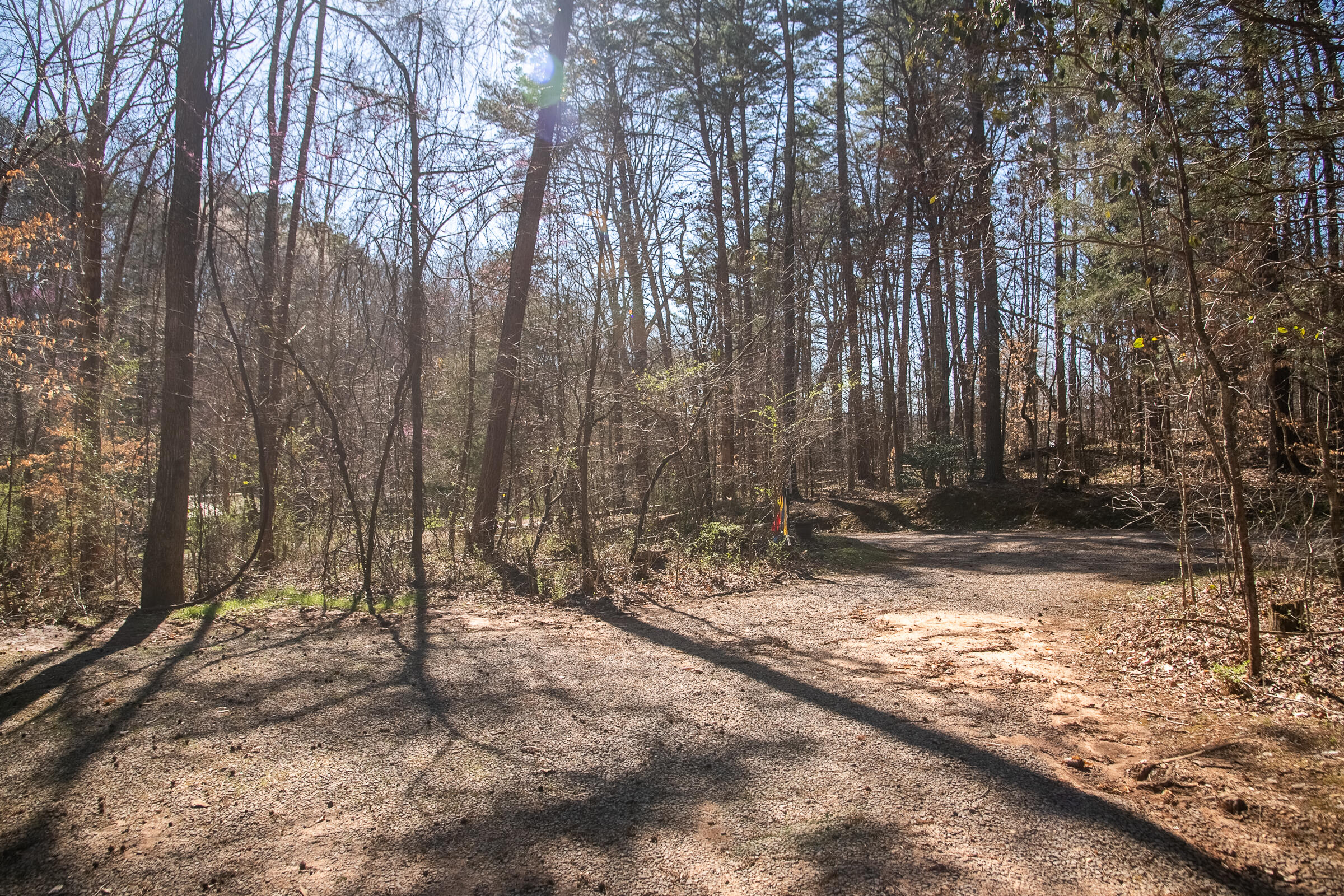 549 Rock Ridge Road Valley Head, AL 35989 - Photo 14 of 25 ValleyHead-17