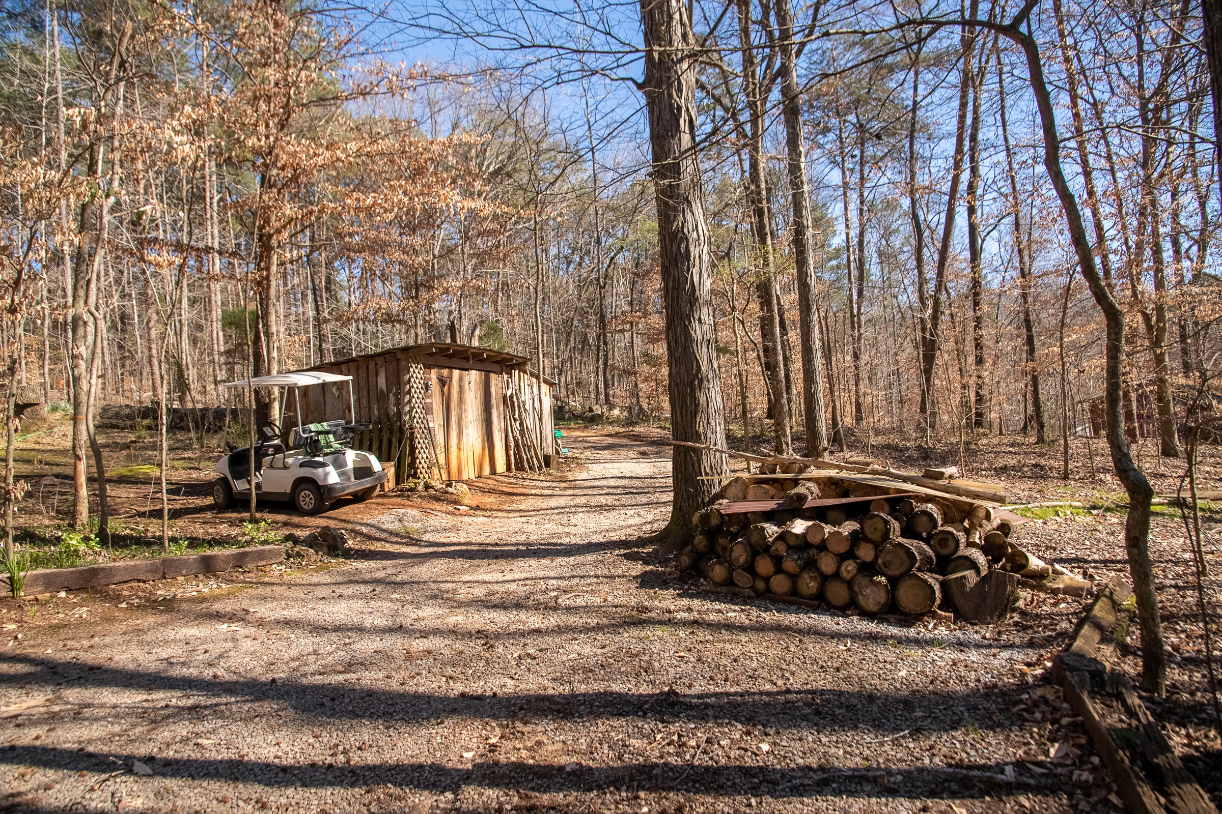 549 Rock Ridge Road Valley Head, AL 35989 - Photo 17 of 25 ValleyHead-9