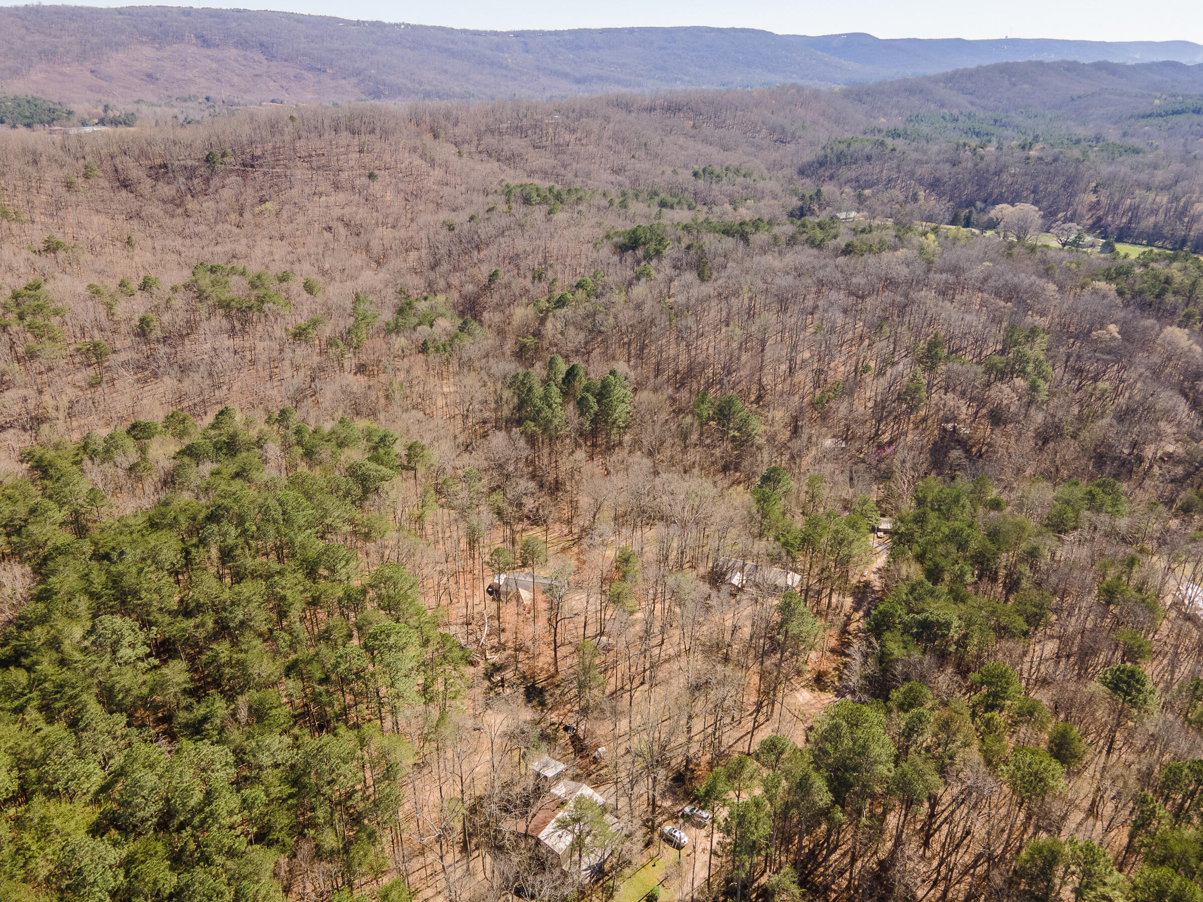 549 Rock Ridge Road Valley Head, AL 35989 - Photo 2 of 25 ValleyHead-46