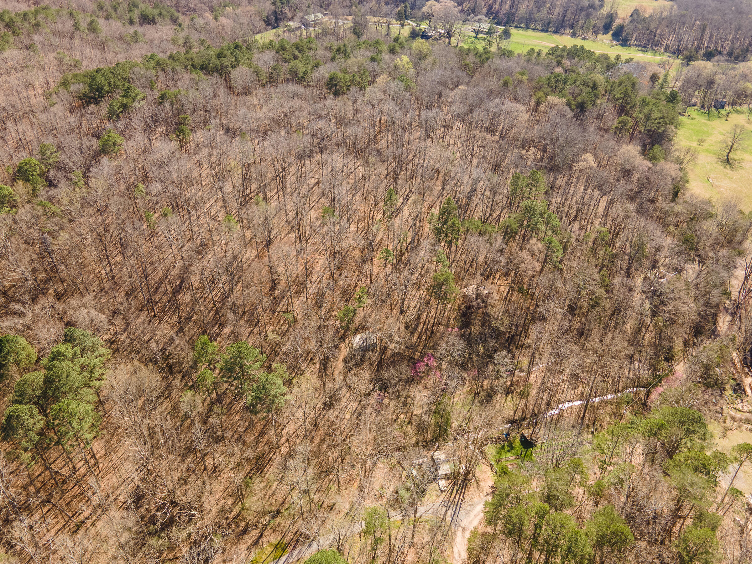 549 Rock Ridge Road Valley Head, AL 35989 - Photo 25 of 25 ValleyHead-50