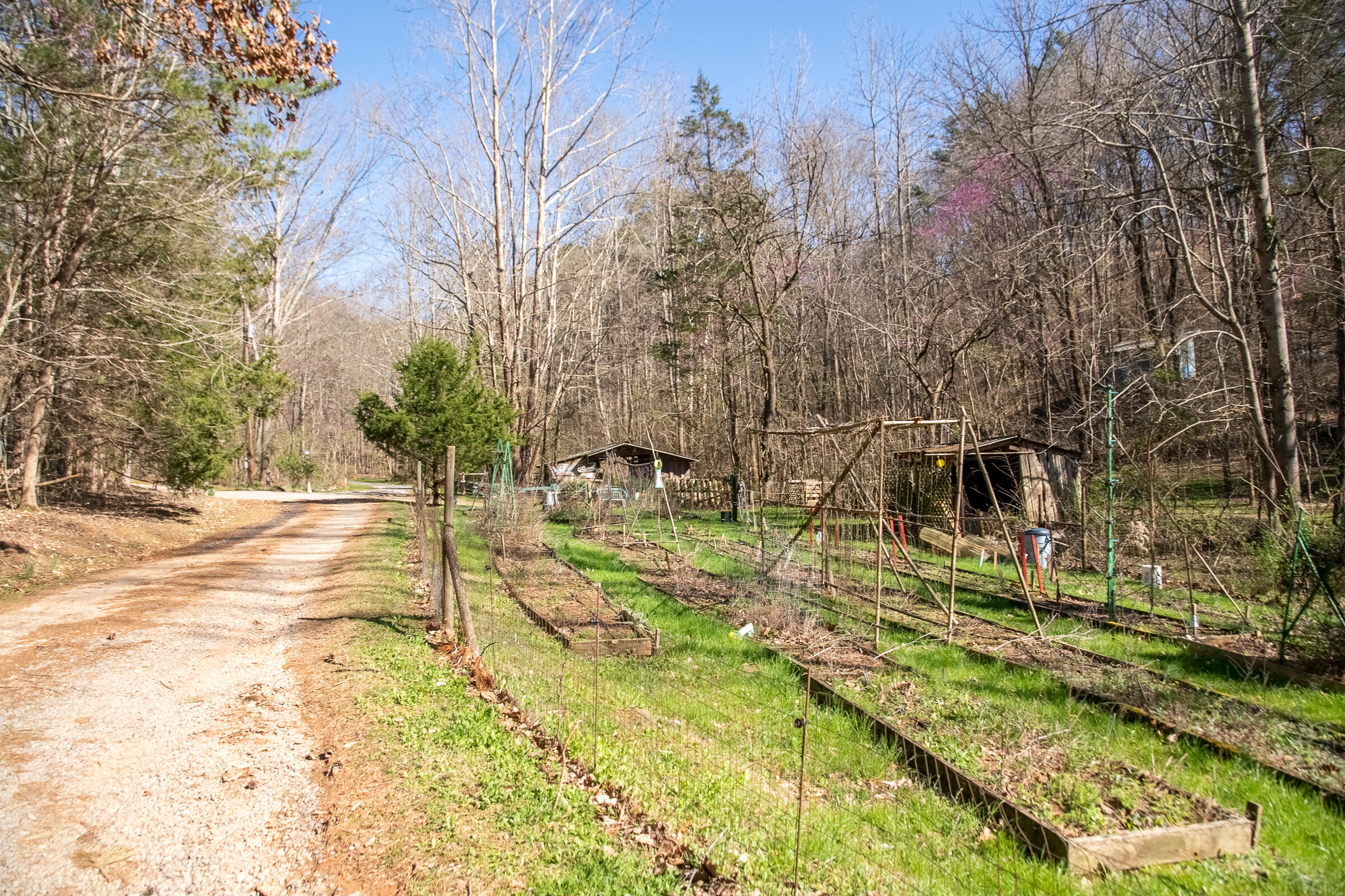549 Rock Ridge Road Valley Head, AL 35989 - Photo 7 of 25 ValleyHead-30