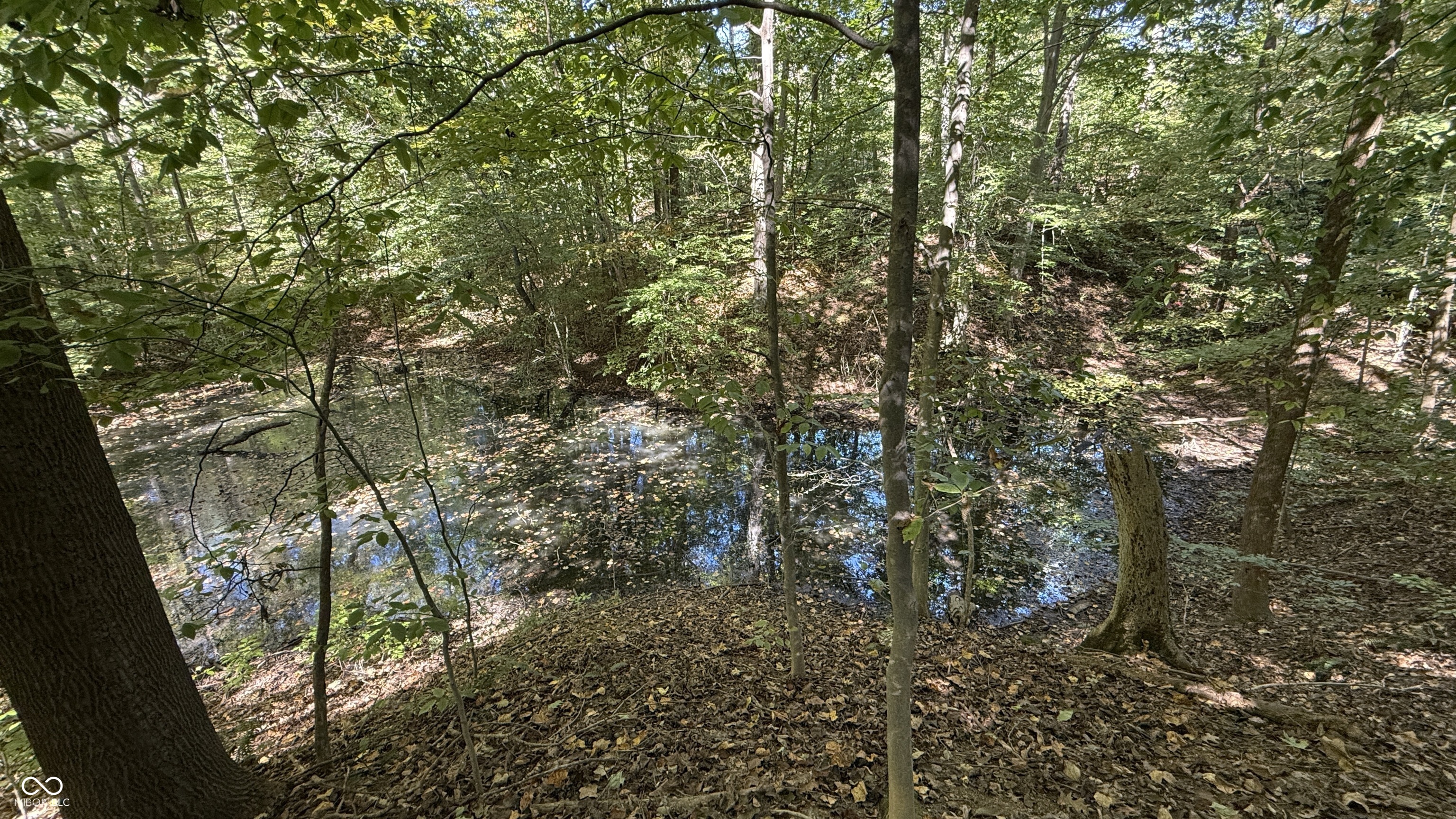 0 Newark Road Solsberry, IN 47459 - Photo 10 of 16