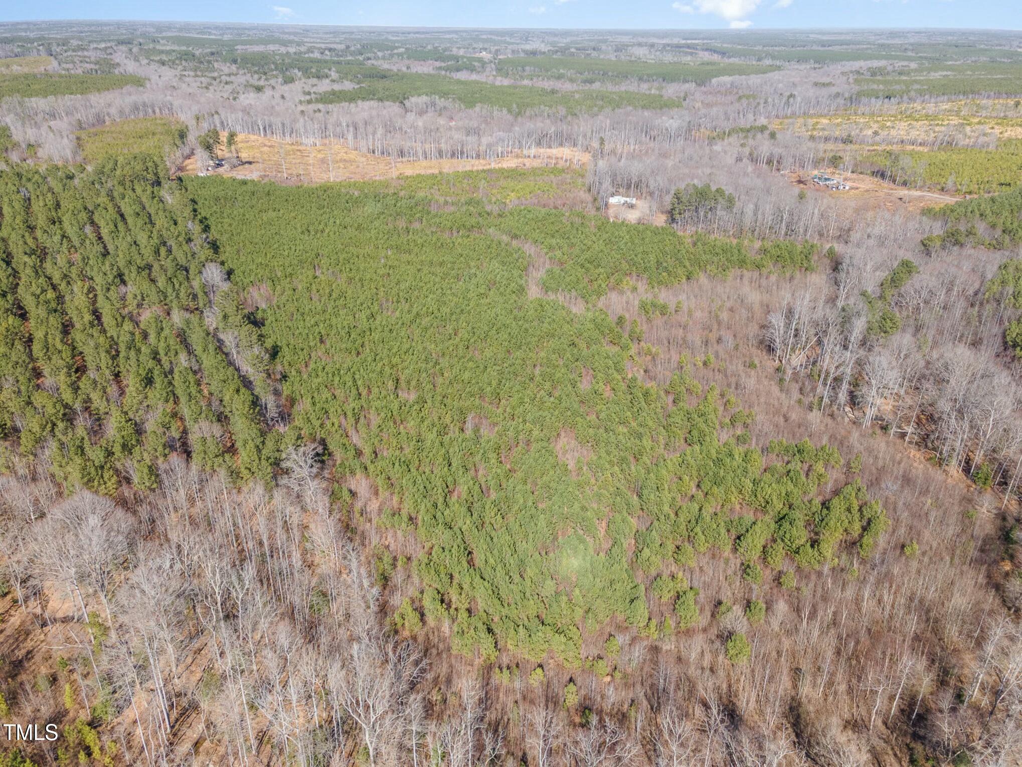 0 Ed Faulkner Road Louisburg, NC 27549 - Photo 4 of 4 tempImageylu7BH