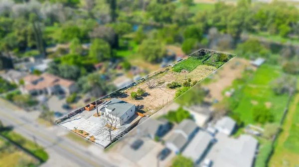 a view of a yard with plants and large trees