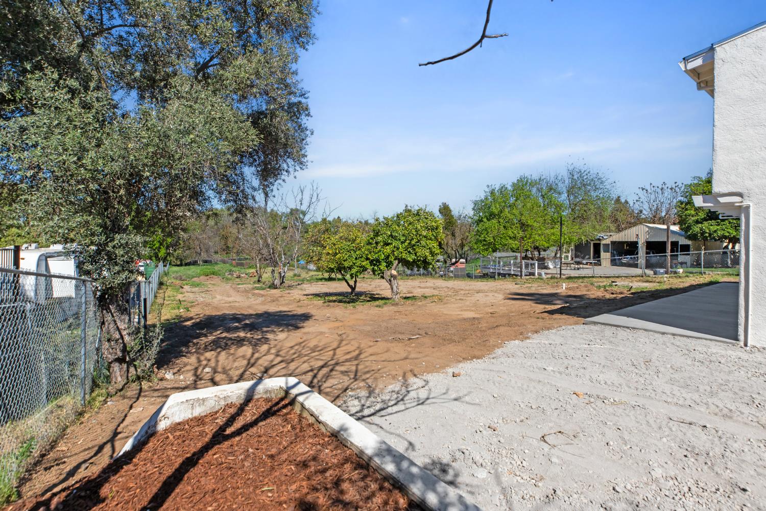 1821 River Road Modesto, CA 95351 - Photo 5 of 50 a view of a yard with plants and trees