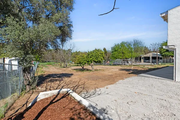 a view of a yard with plants and trees