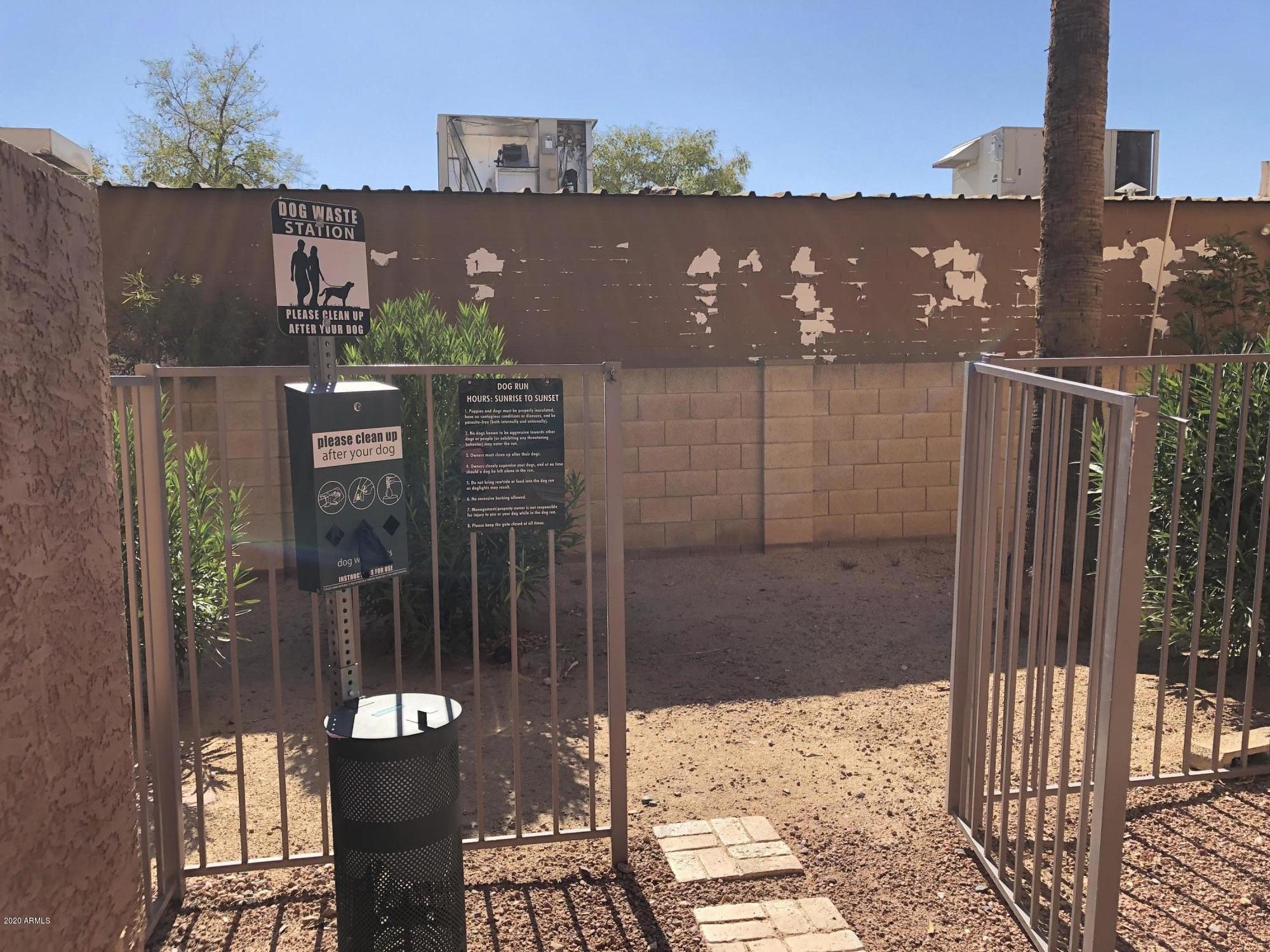 2625 East Indian School Road, Unit 204 Phoenix, AZ 85016 - Photo 10 of 20 Dog Run
