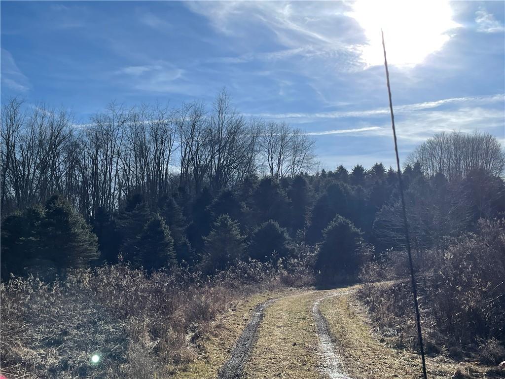373 State Rte 1028 Dayton, PA 16222 - Photo 5 of 18 a view of a yard