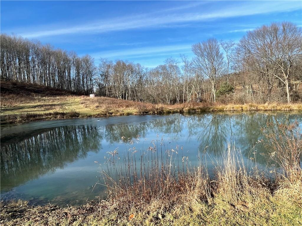 373 State Rte 1028 Dayton, PA 16222 - Photo 7 of 18 a view of a lake from a yard