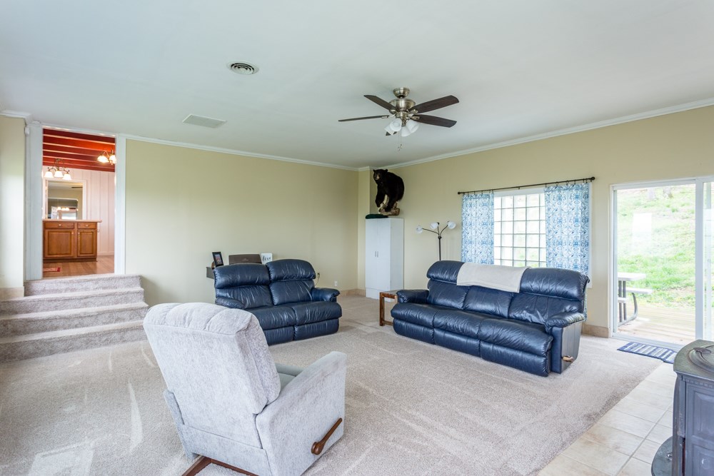 10480 Daphna Road Broadway, VA 22815 - Photo 4 of 19 Gallery Image 4