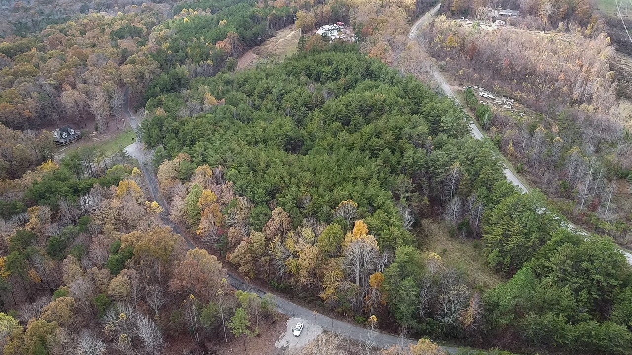 0 Caldwell Road Coalmont, TN 37313 - Photo 11 of 24 a view of a forest with a street