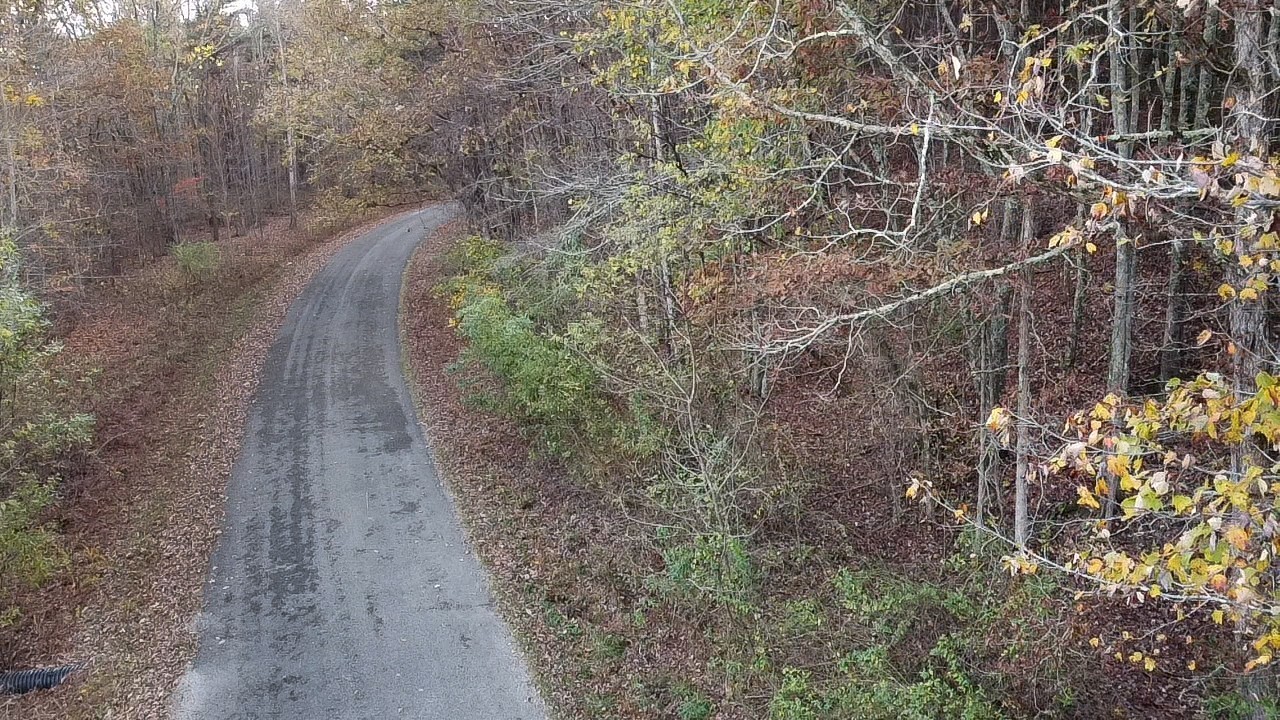 0 Caldwell Road Coalmont, TN 37313 - Photo 14 of 24 a backyard of a house with lots of green space