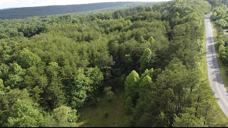 0 Caldwell Road Coalmont, TN 37313 - Photo 17 of 24 a view of a forest with a street
