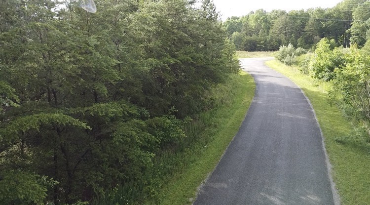 0 Caldwell Road Coalmont, TN 37313 - Photo 19 of 24 a view of a pathway both side of a yard