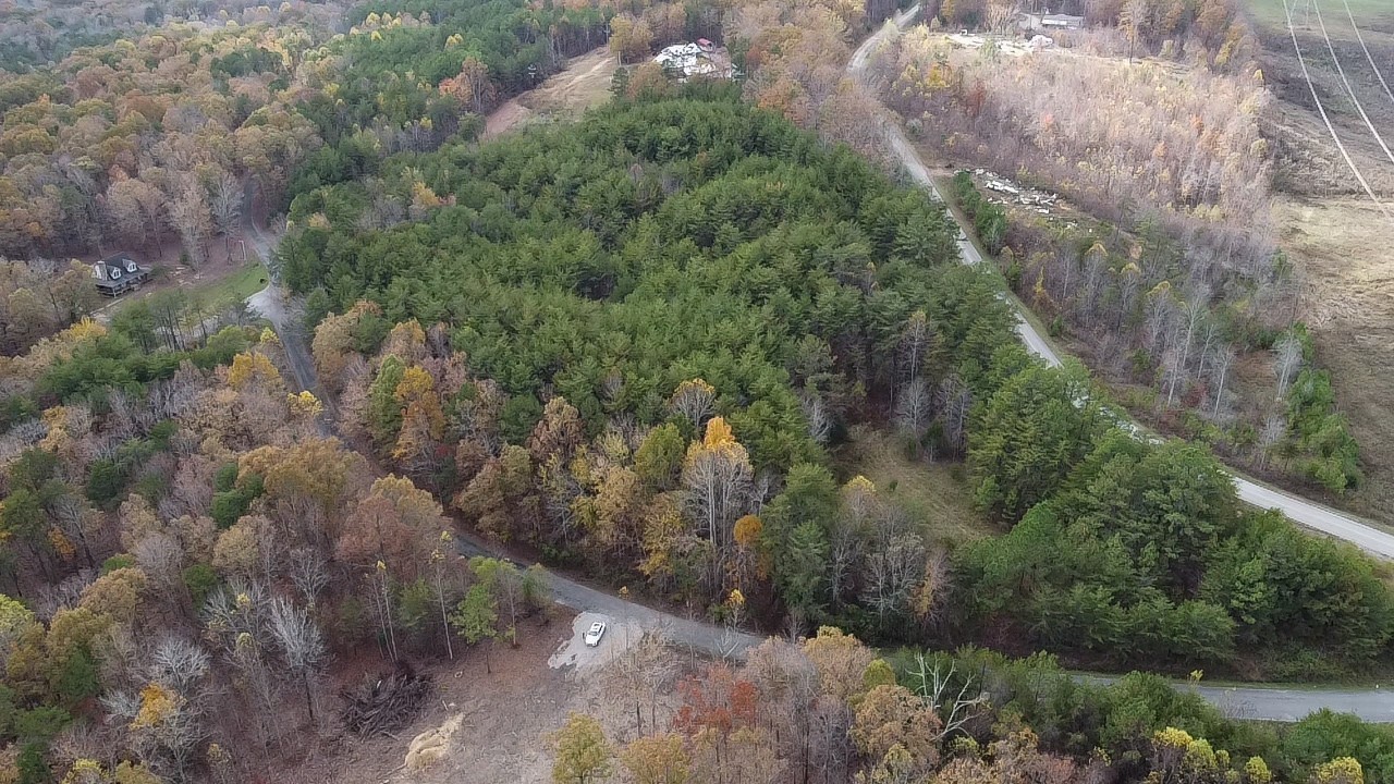0 Caldwell Road Coalmont, TN 37313 - Photo 23 of 24 a view of a forest with a building in the background