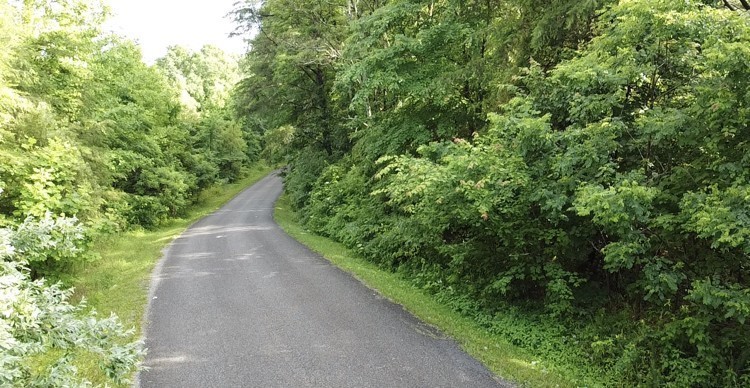 0 Caldwell Road Coalmont, TN 37313 - Photo 3 of 24 a view of a garden with pathway
