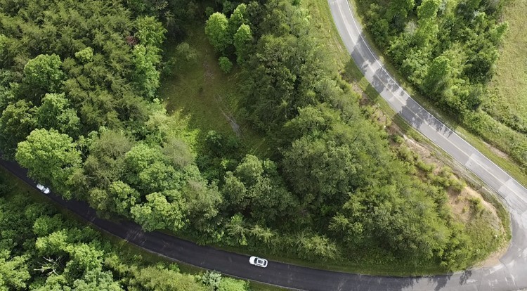 0 Caldwell Road Coalmont, TN 37313 - Photo 5 of 24 a view of a yard