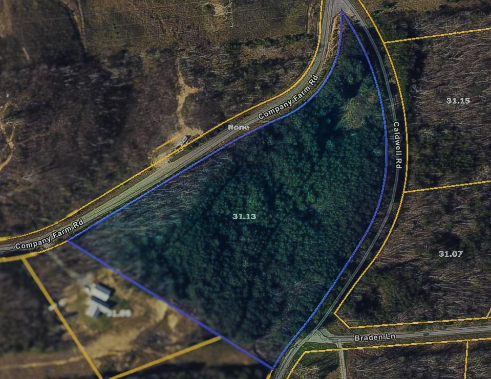 0 Caldwell Road Coalmont, TN 37313 - Photo 10 of 24