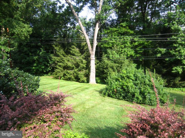 407 Greystone Road Ambler, PA 19002 - Photo 16 of 17 Exterior Back