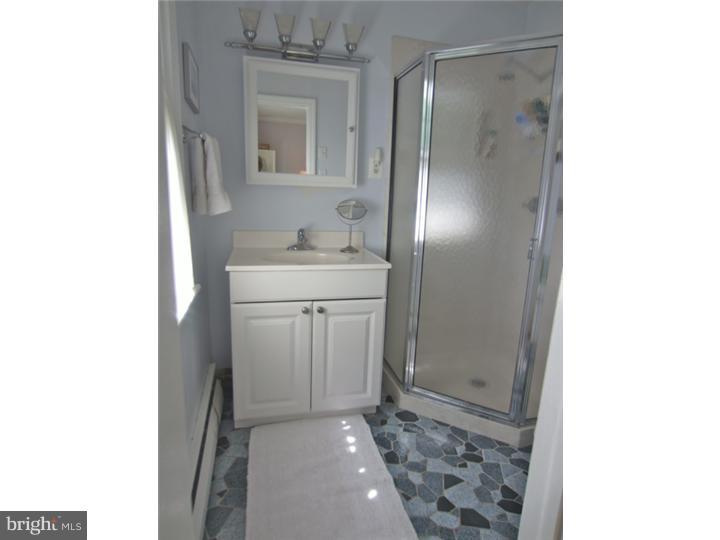 407 Greystone Road Ambler, PA 19002 - Photo 10 of 17 Master Bathroom