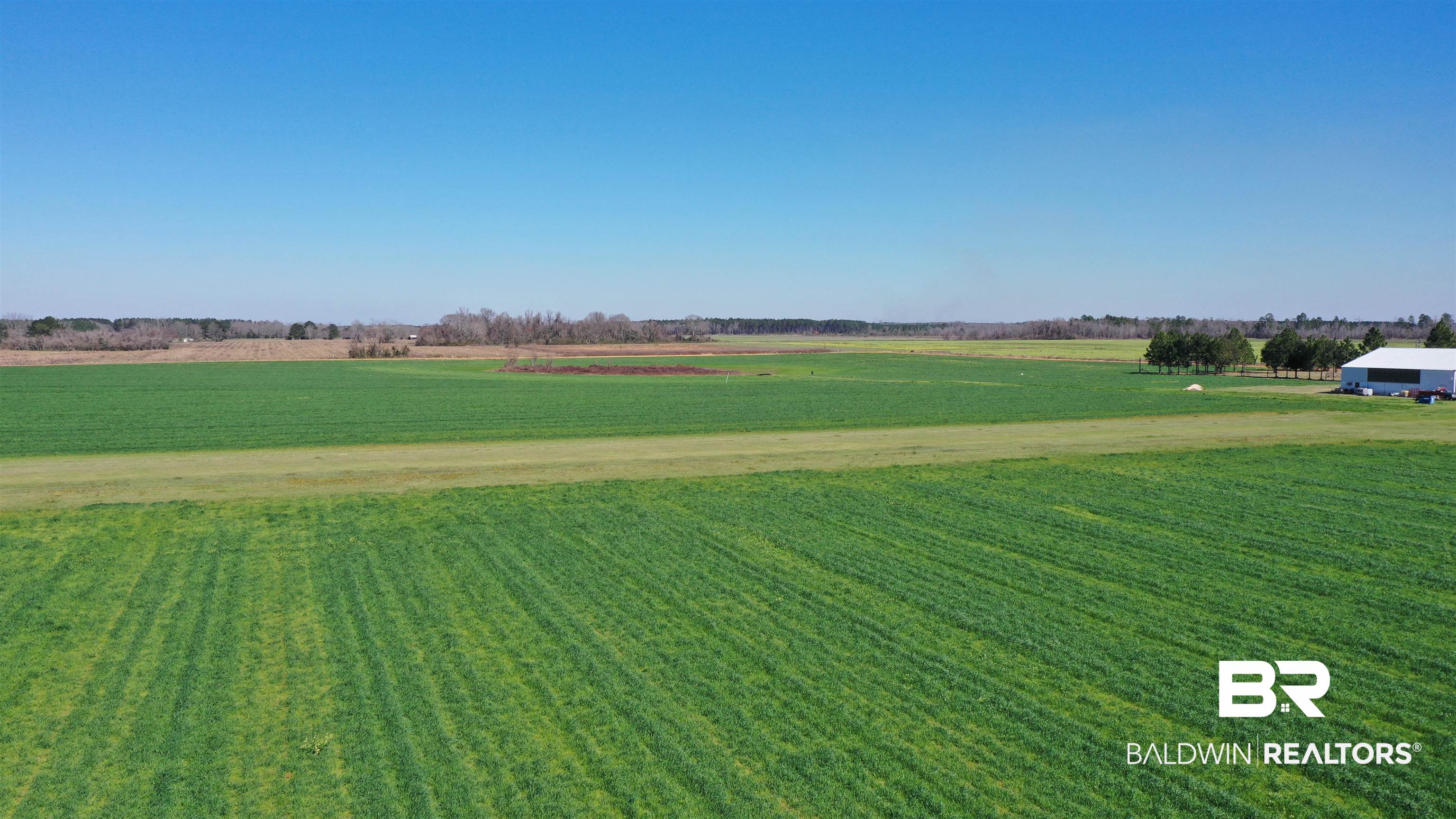 Lot 14 Davis Pond Road Atmore, AL 36502 - Photo 8 of 14