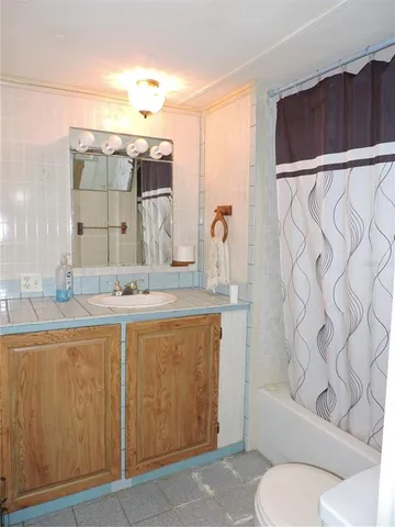 a bathroom with a sink and toilet