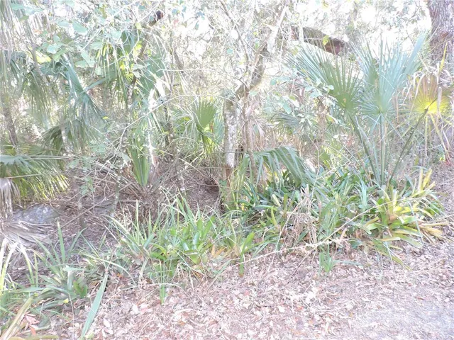 $99,900 | 1121 Big Oak Dr Lake, Lake Wales, FL 33898