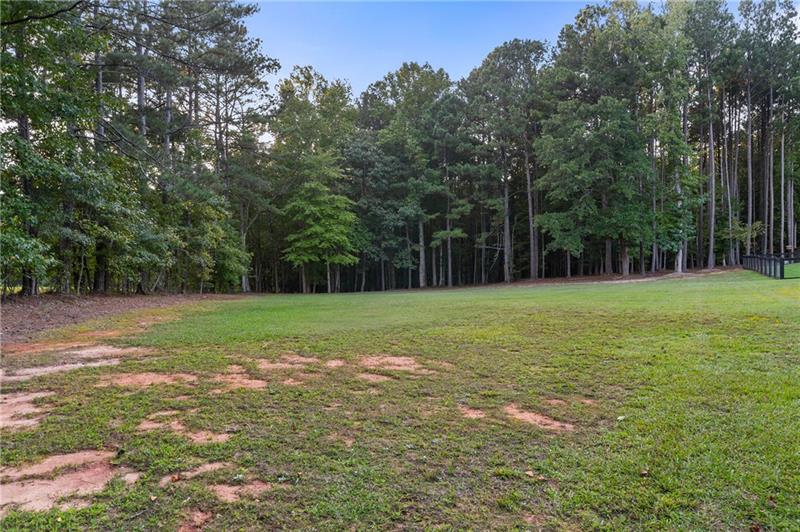 7255 Old Rico Road Chattahoochee Hills, GA 30268 - Photo 66 of 78 a view of a field with trees in the background