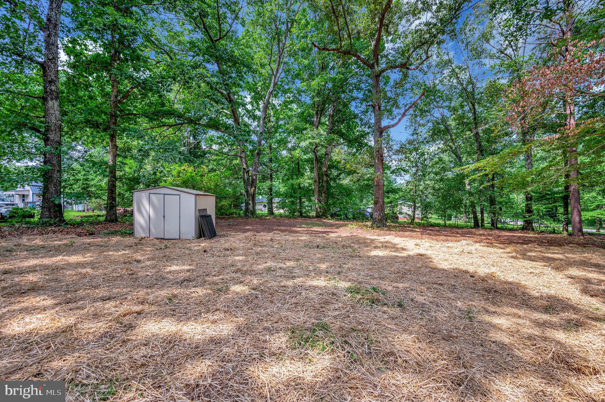 25294 Peaceful Valley Road Ruther Glen, VA 22546 - Photo 26 of 27 Back yard / Shed