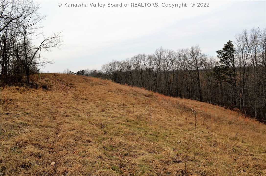 2046 Vicars Ridge Road Gandeeville, WV 25243 - Photo 22 of 28 Gallery Image 22