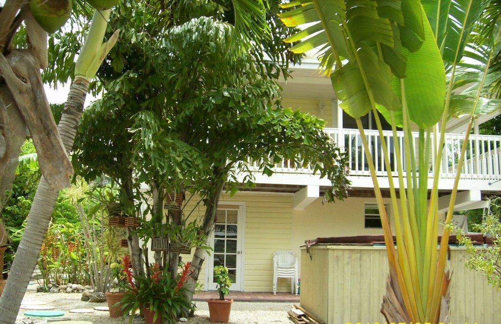 3854 George Road Big Pine Key, FL 33043 - Photo 8 of 28 yard