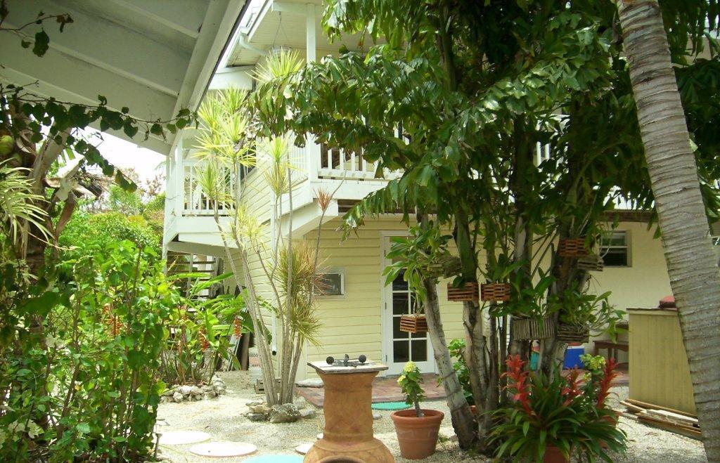 3854 George Road Big Pine Key, FL 33043 - Photo 9 of 28 yard