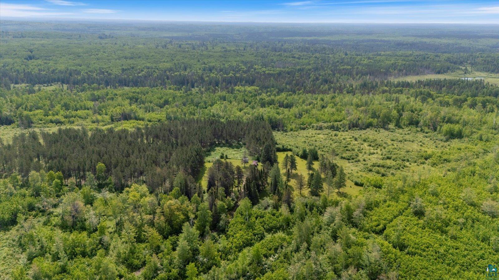 480 Rikala Brimson, MN 55602 - Photo 11 of 38 Drone / aerial view of a forest