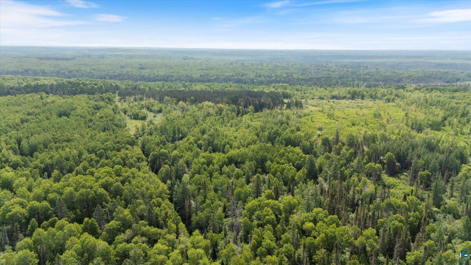 480 Rikala Brimson, MN 55602 - Photo 12 of 38 Aerial view of a forest