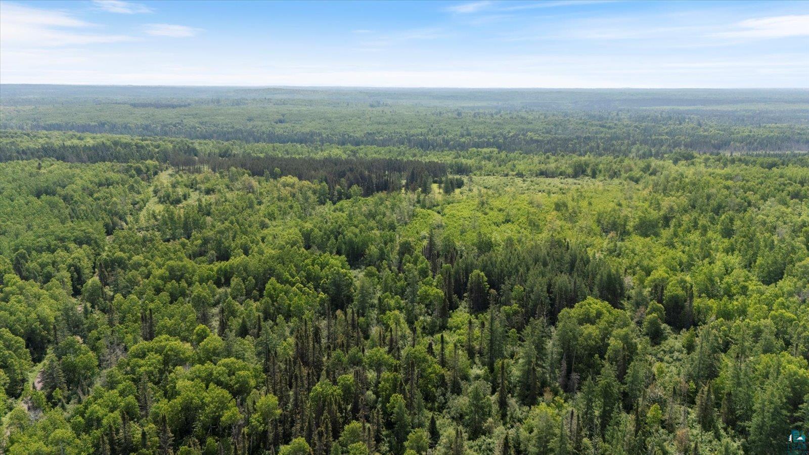 480 Rikala Brimson, MN 55602 - Photo 13 of 38 Drone / aerial view of a forest