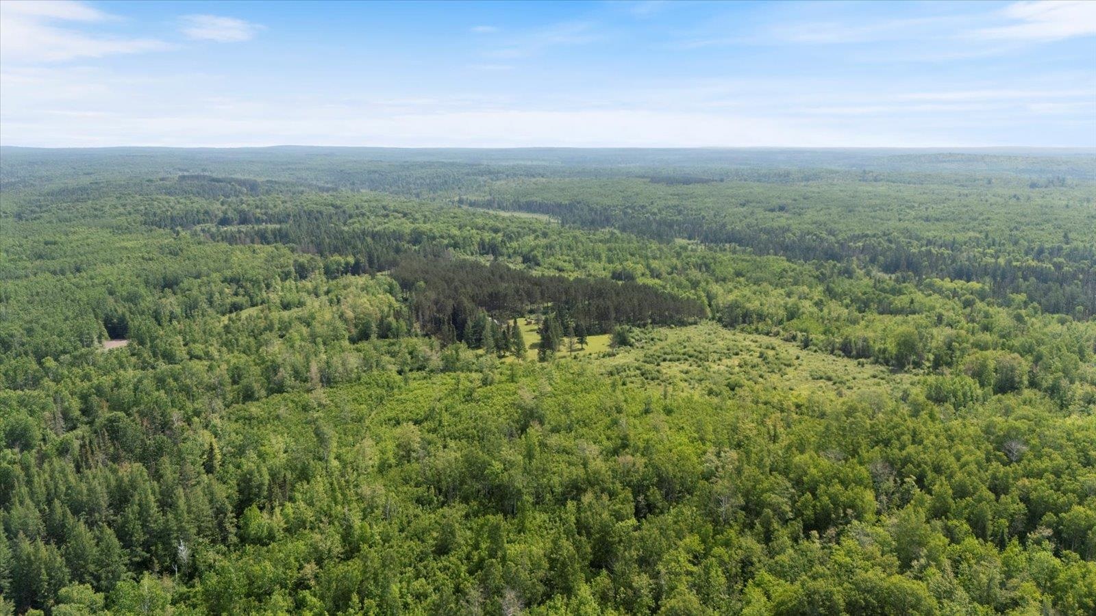 480 Rikala Brimson, MN 55602 - Photo 16 of 38 Bird's eye view of a heavily wooded area