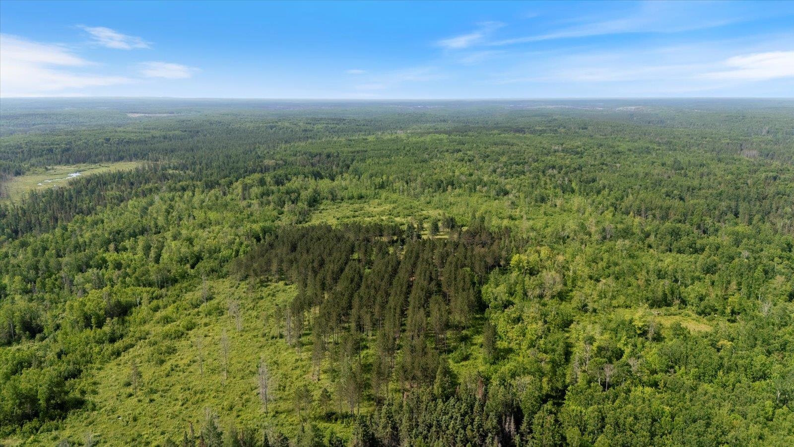480 Rikala Brimson, MN 55602 - Photo 10 of 38 Drone / aerial view of a heavily wooded area