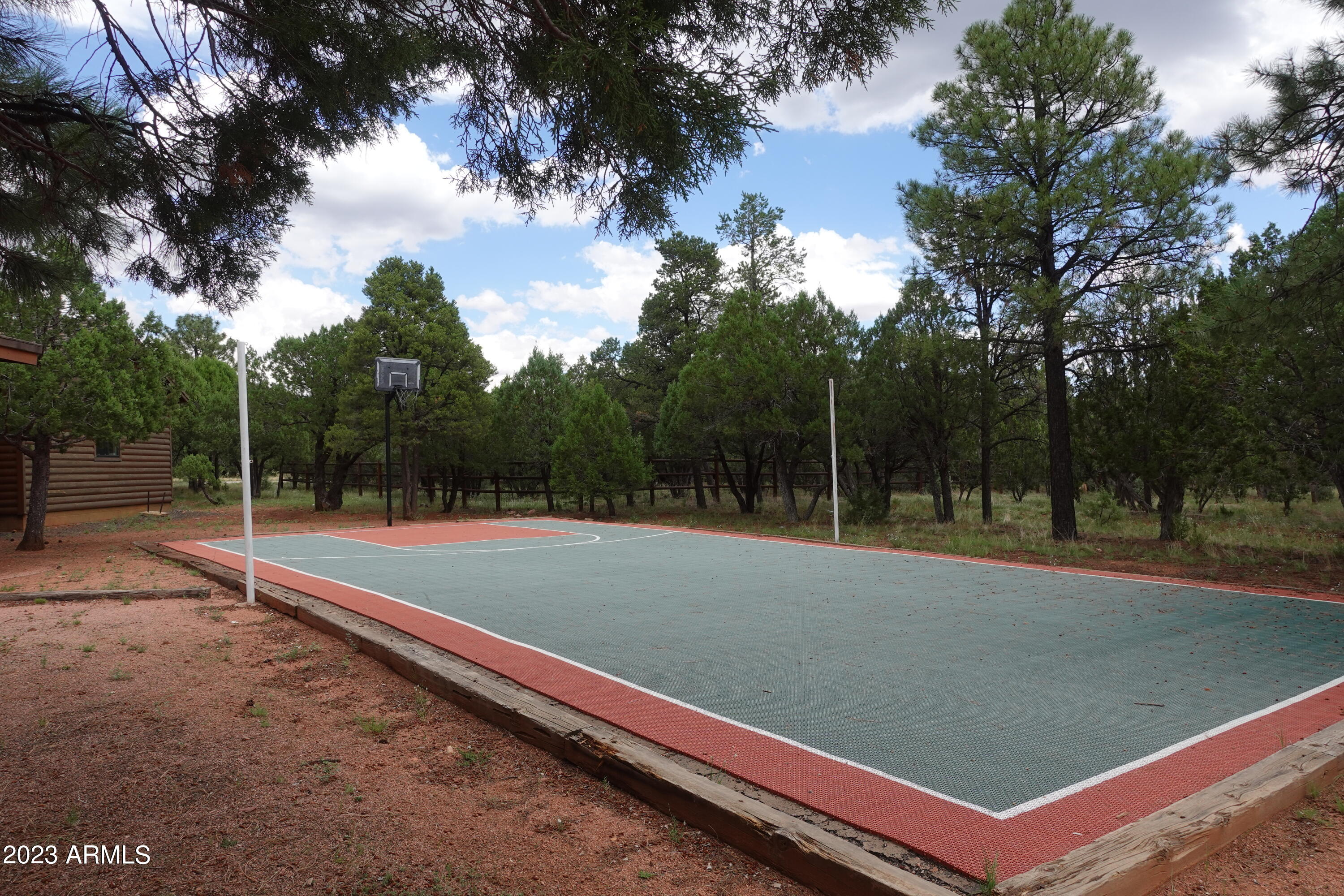 2282 Lindberg Road Overgaard, AZ 85933 - Photo 21 of 30 More Hoops!