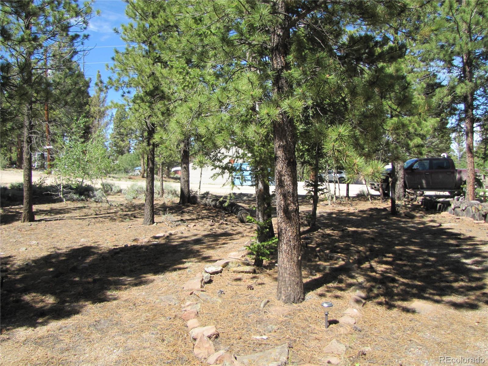 19 Lantern Loop Fairplay, CO 80440 - Photo 4 of 16 a view of road with trees