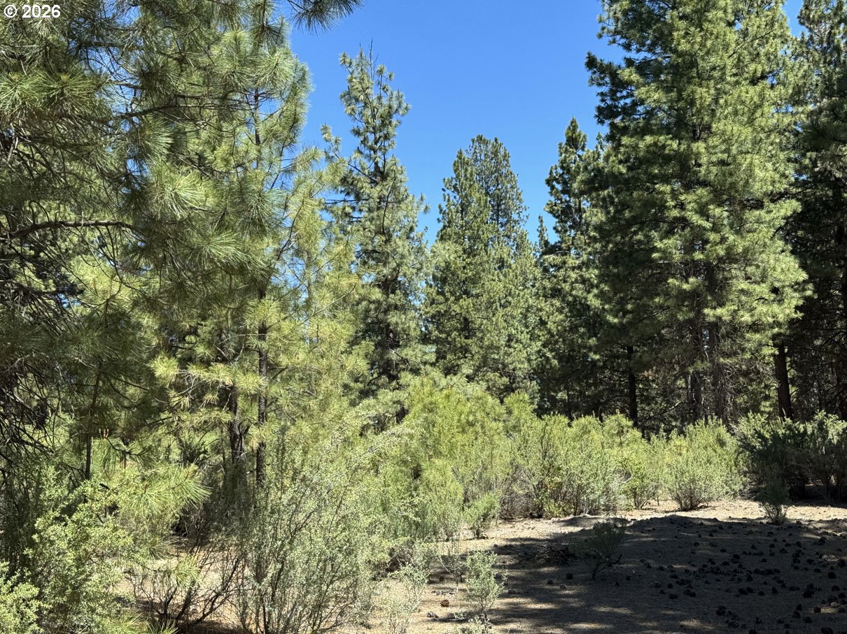Friendship Drive, Unit 15 Chiloquin, OR 97624 - Photo 12 of 41